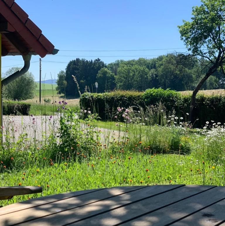 Urlaub Mit Hund Auf Dem Bauernhof Hofswald Apartment Euscheid Exterior photo