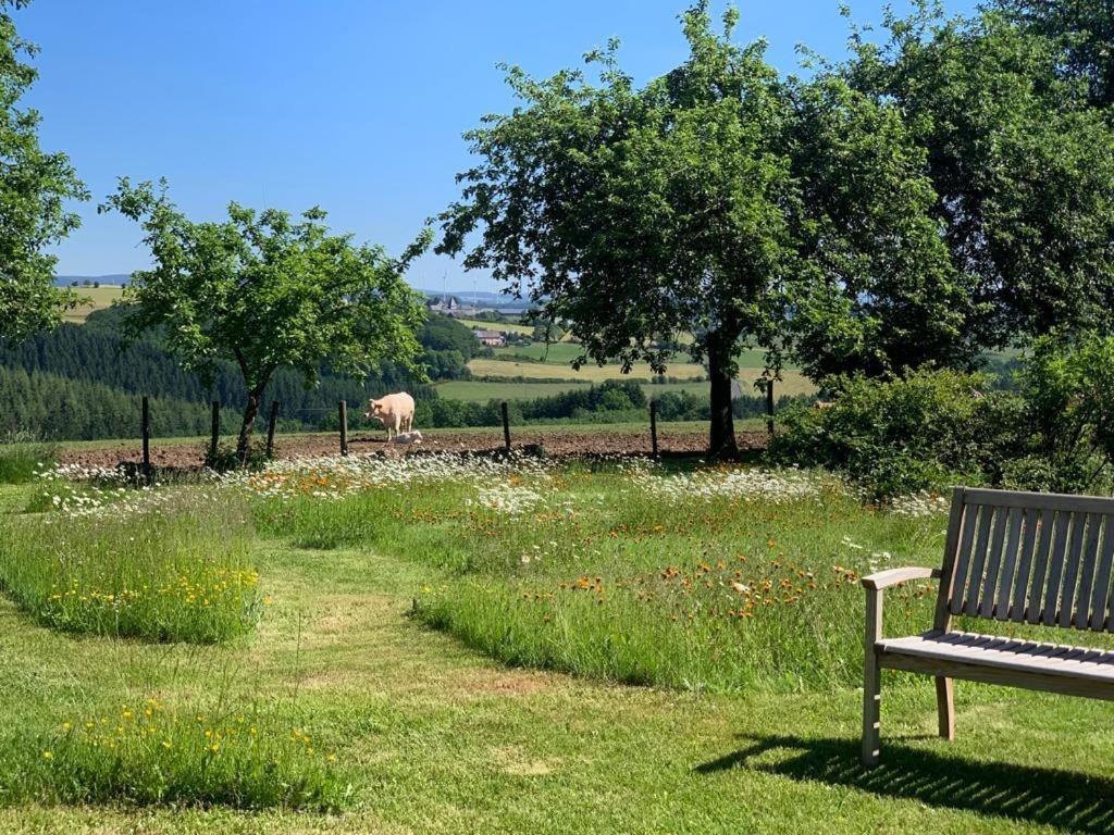 Urlaub Mit Hund Auf Dem Bauernhof Hofswald Apartment Euscheid Exterior photo