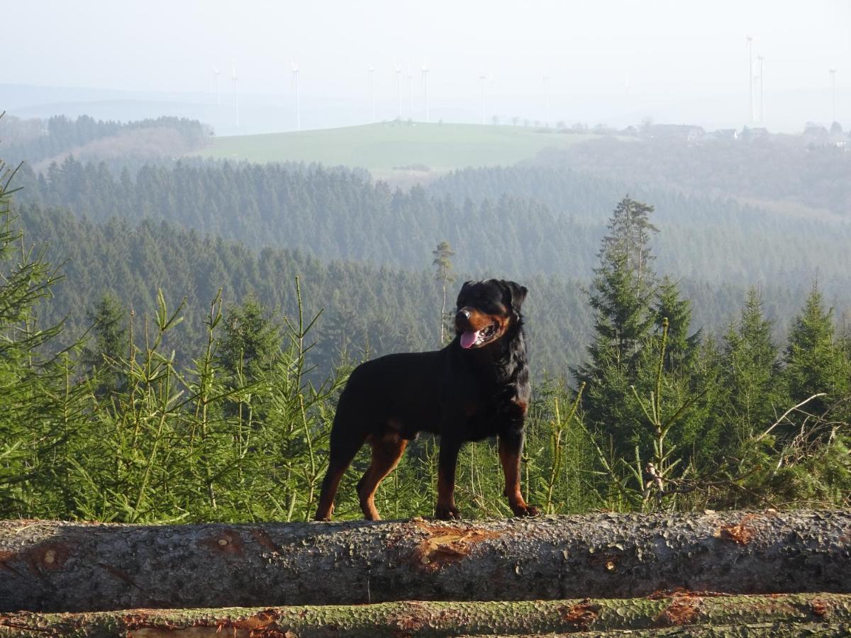 Urlaub Mit Hund Auf Dem Bauernhof Hofswald Apartment Euscheid Exterior photo